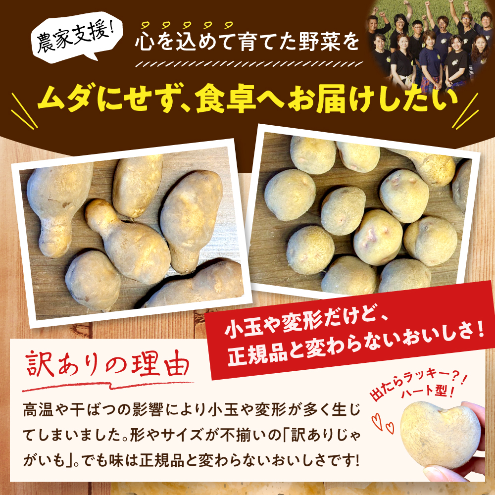 【2月上旬～4月下旬頃配送】【訳あり】北海道十勝芽室町 農家応援じゃがいも(越冬)5㎏　メークイン（変形）me001-051c-2