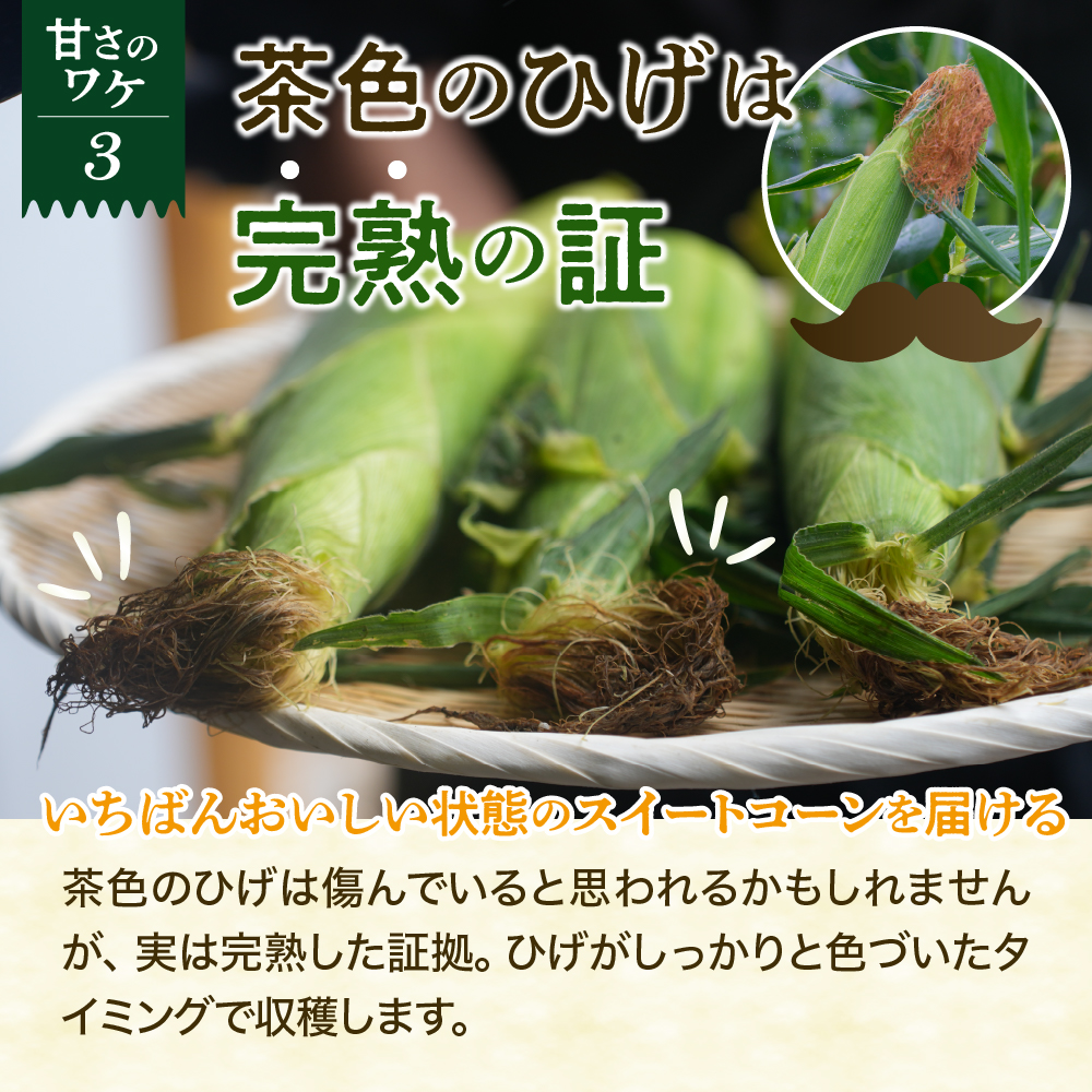 【訳あり】【先行受付】【2026年7月下旬～8月上旬頃配送】北海道十勝芽室町　スイートコーン ドルチェドリーム 13本 me062-003c-26