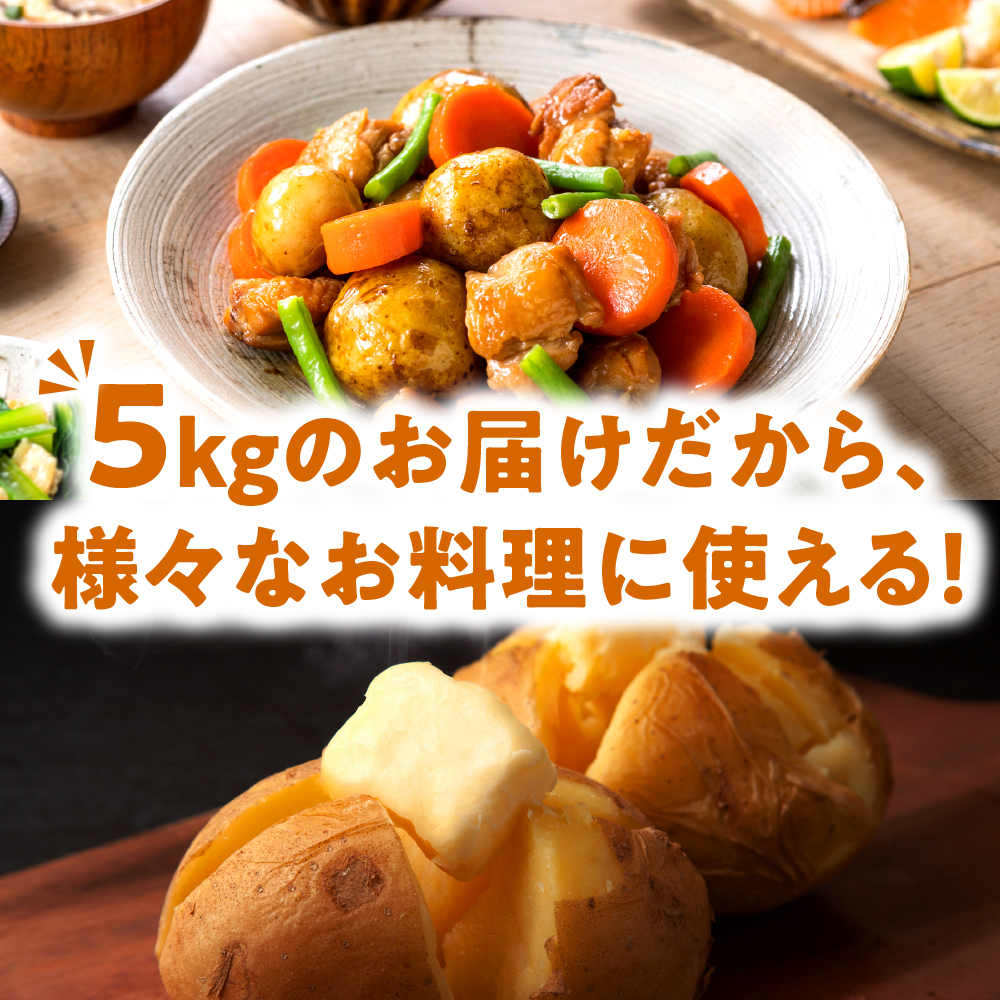 【2月上旬～4月下旬頃配送】【訳あり】北海道十勝芽室町 農家応援じゃがいも(越冬)5㎏　メークイン（変形）me001-051c-2