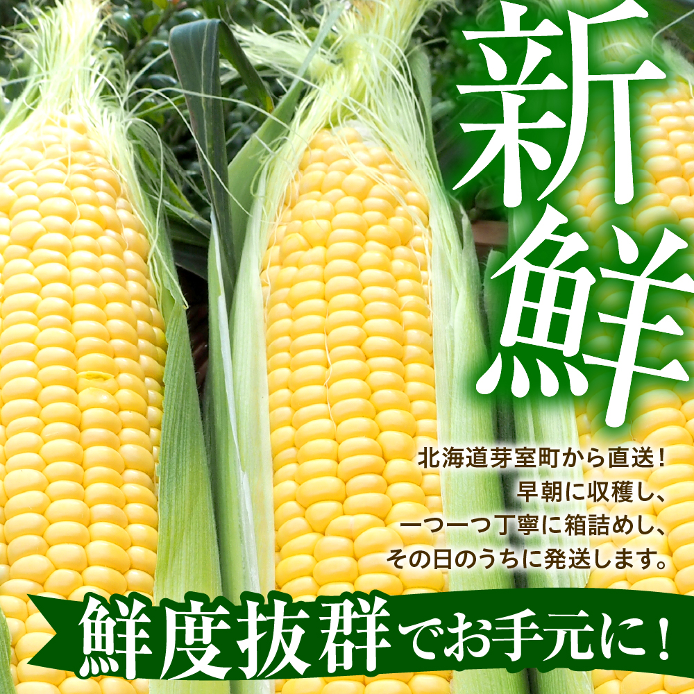 ãå
è¡åä»ãã2026幎8æäžæ¬ïœ8æäžæ¬é é
éãåæµ·éååèœå®€çº ãšããããã ãŽãŒã«ãã©ãã·ã¥ 2Lãµã€ãº 20æ¬ã»ãã me078-010c-26