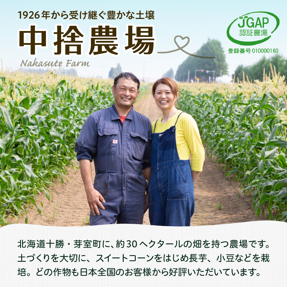 【訳あり】【先行受付】【2026年7月下旬～8月上旬頃配送】北海道十勝芽室町　スイートコーン ドルチェドリーム 13本 me062-003c-26
