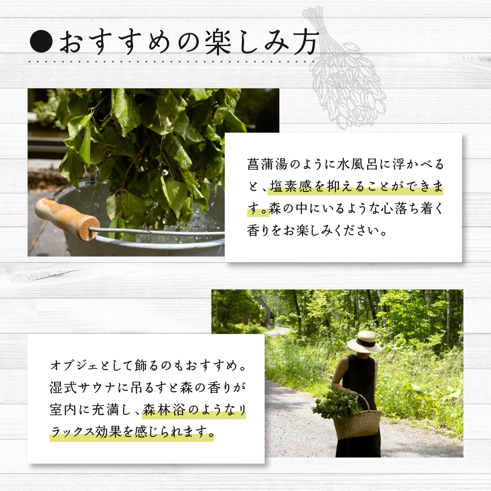 ãå
è¡åä»ãåæµ·éååèœå®€çº ãšãšã®ã極楜ã»ããïŒãšãã»ã³ã·ã£ã«ãªã€ã«1æ¬ÃãŽã£ãã¿2æ¬ïŒme000-034c