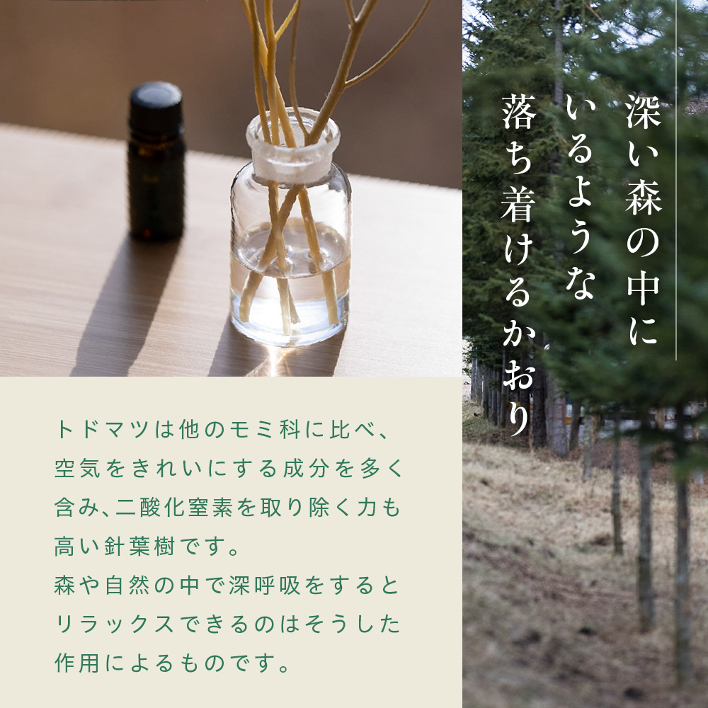 ãå
è¡åä»ãåæµ·éååèœå®€çº ãšãšã®ã極楜ã»ããïŒãšãã»ã³ã·ã£ã«ãªã€ã«1æ¬ÃãŽã£ãã¿2æ¬ïŒme000-034c