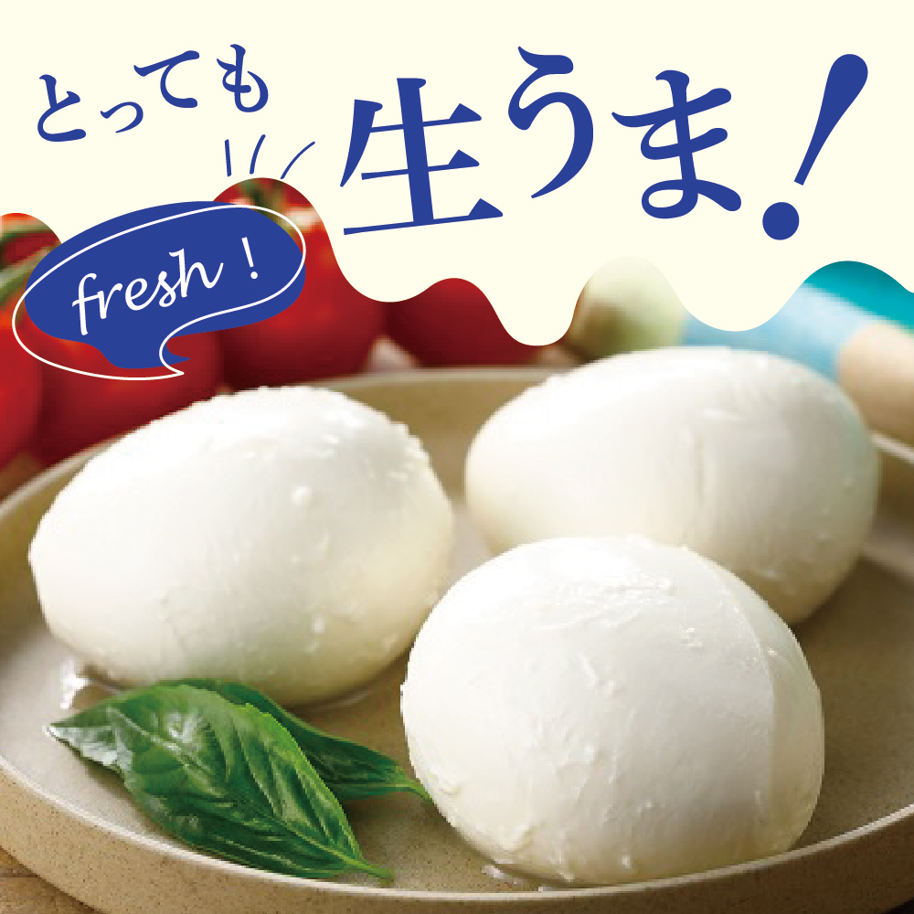 【6ヵ月定期便】明治北海道十勝チーズ 生モッツァレラ６個 セット 計6回 me003-070-t6c
／おつまみ 冷蔵便 詰め合わせ チーズ cheese CHEESE 乳製品 生乳 凝縮 ミルク 新鮮 パック お取り寄せ サラダ カプレーゼ ピザ トースト