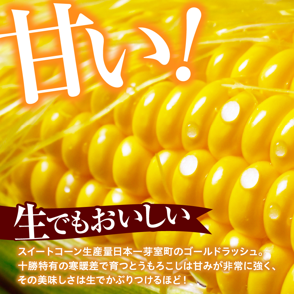 ãå
è¡åä»ãã2026幎8æäžæ¬ïœ8æäžæ¬é é
éãåæµ·éååèœå®€çº ãšããããã ãŽãŒã«ãã©ãã·ã¥ 2Lãµã€ãº 20æ¬ã»ãã me078-010c-26