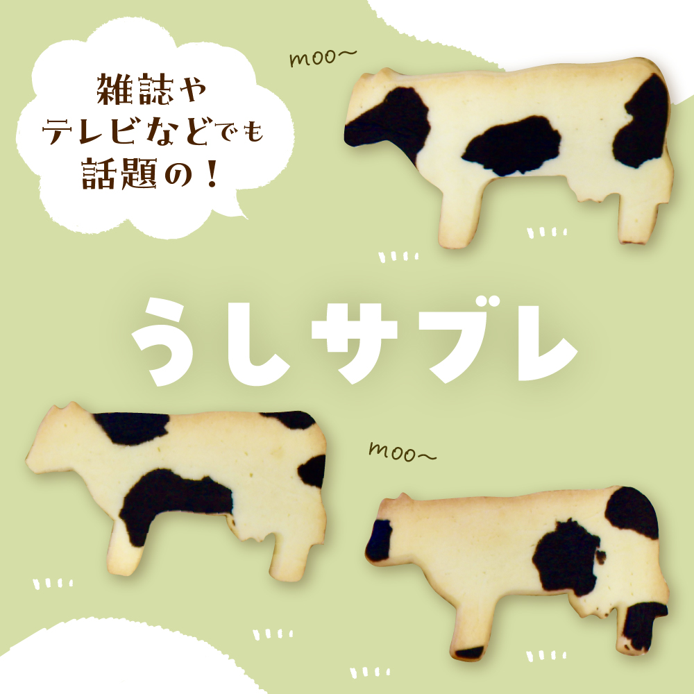 北海道十勝芽室町 牛サブレ5頭入り 2箱 me079-002c