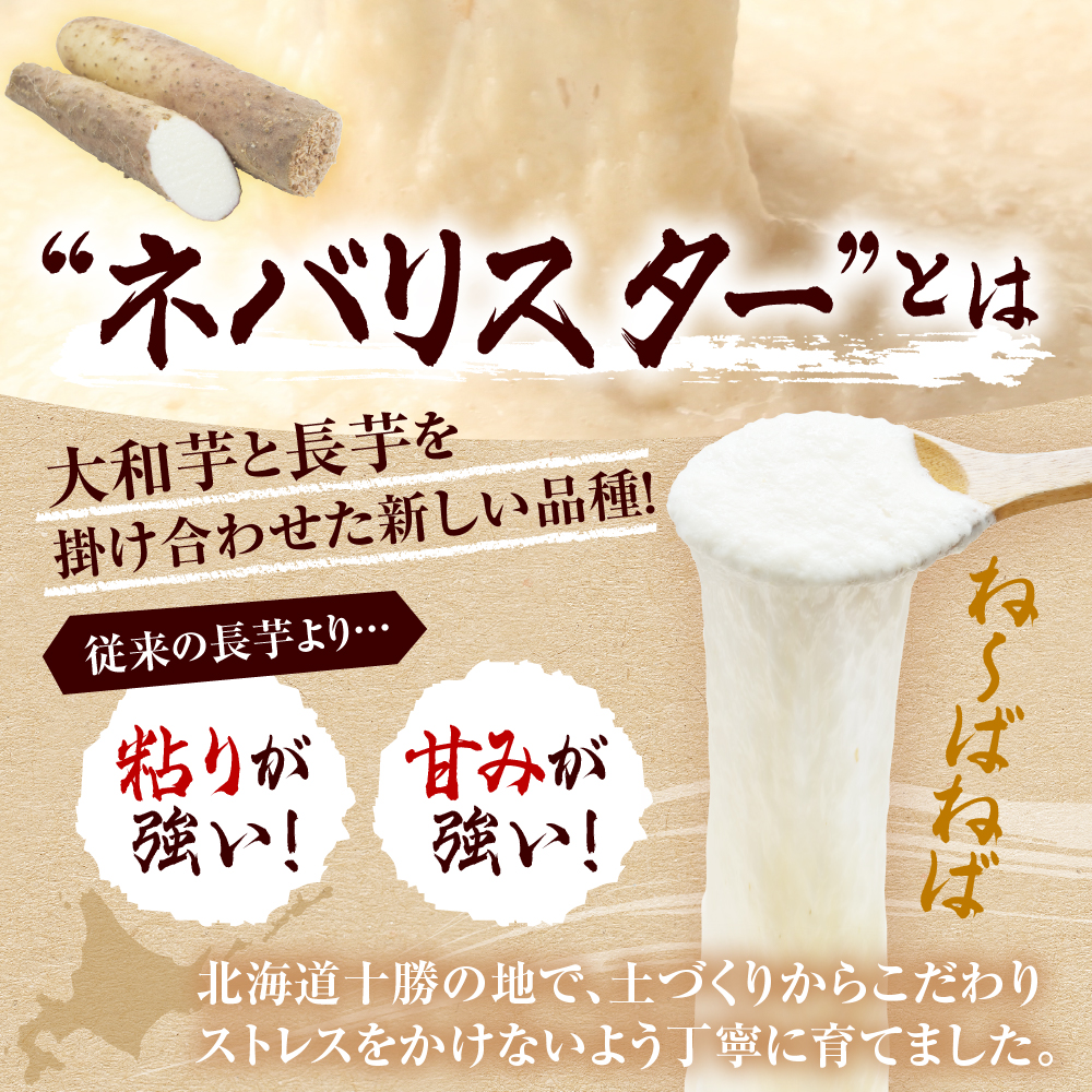 【先行受付】【2026年12月中旬より順次発送】北海道十勝芽室町　なまら十勝野の長芋ネバリスター 5kg me001-047c