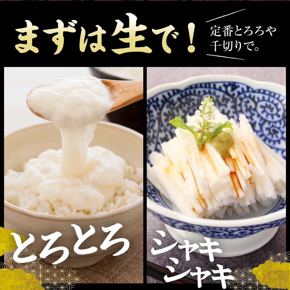 縲12譛井クュ譌ャ莉・髯咲匱騾√大圏豬キ驕灘香蜍晁歓螳、逕コ 縺ェ縺セ繧牙香蜍晞弱ョ髟キ縺繧 シ斌g me001-010c