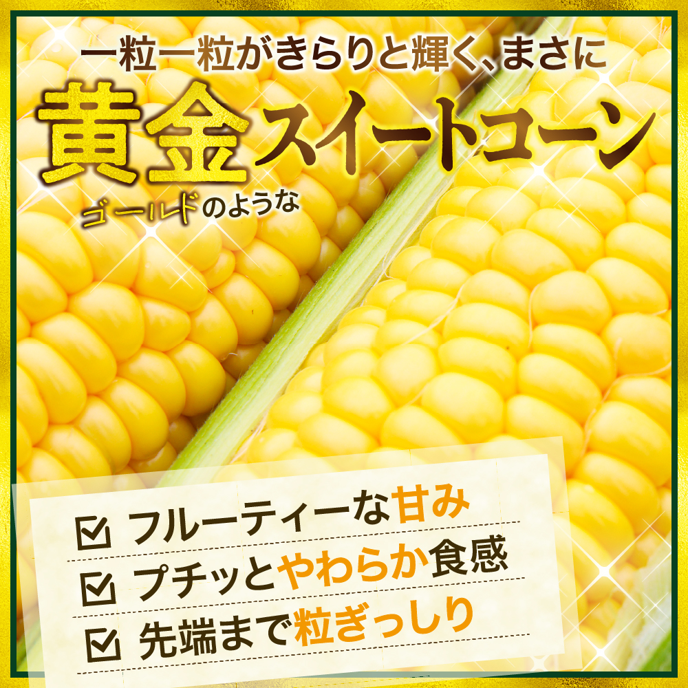 【先行受付】【2026年7月下旬～8月上旬頃配送】北海道十勝芽室町　スイートコーン ゴールドラッシュ 13本 me062-002c-26