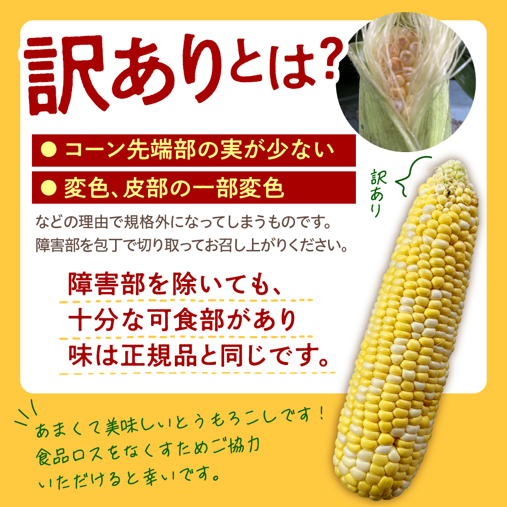 【訳あり】【先行受付】【2026年7月下旬～8月上旬頃配送】北海道十勝芽室町　スイートコーン ドルチェドリーム 13本 me062-003c-26