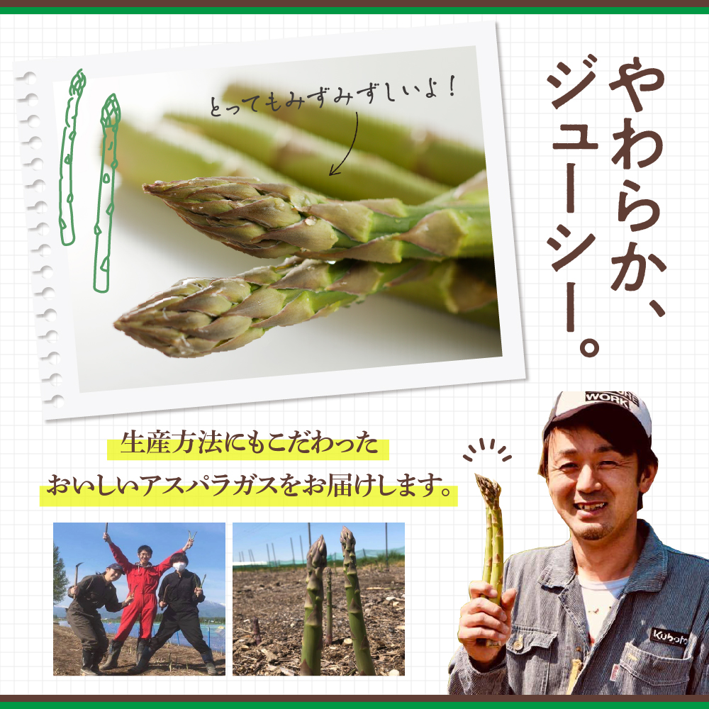 【先行受付】【2025年出荷分】北海道十勝芽室町 なまら十勝野のアスパラ1kg me001-007c-25