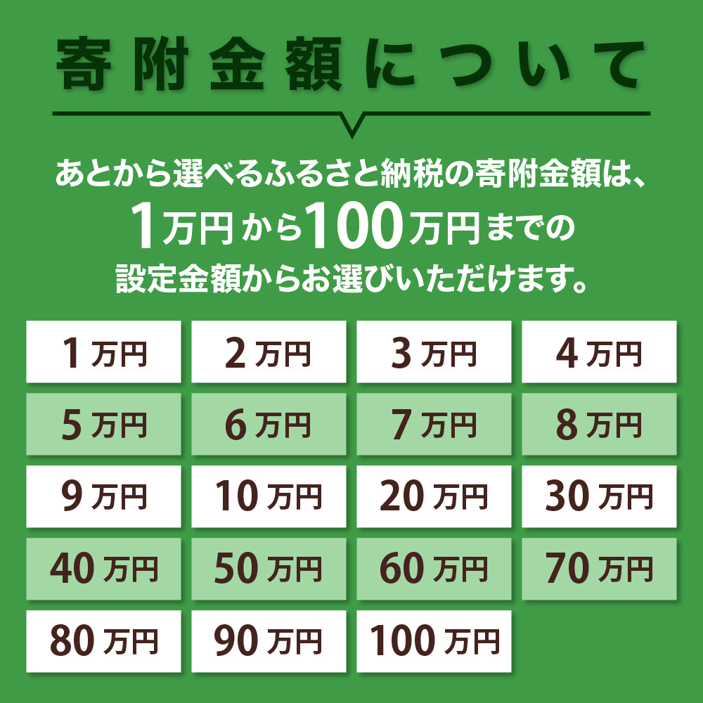 北海道十勝芽室町 あとからセレクト 【ふるさとギフト】50万円分