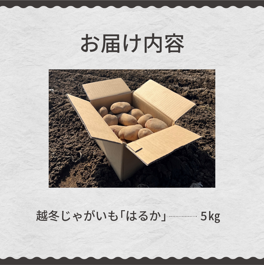 【先行受付】【2025年4月より順次発送】北海道十勝芽室町　なまら十勝野　越冬じゃがいも　はるか　5kg　me001-028c