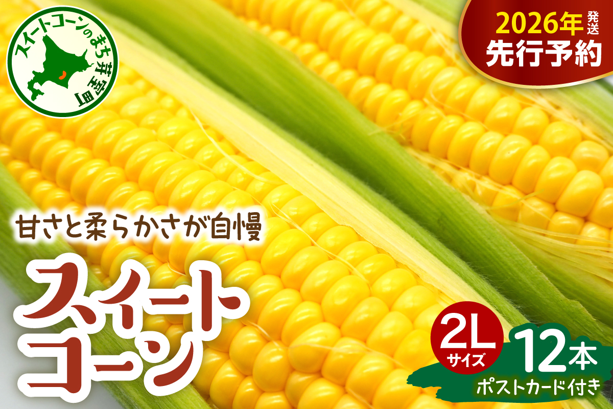 【先行受付】【2026年7月下旬～8月下旬頃配送】北海道十勝芽室町 上美生のたからばこ とうもろこしゴールドラッシュ ２Lサイズ以上12本ポストカード セット me029-001c-26