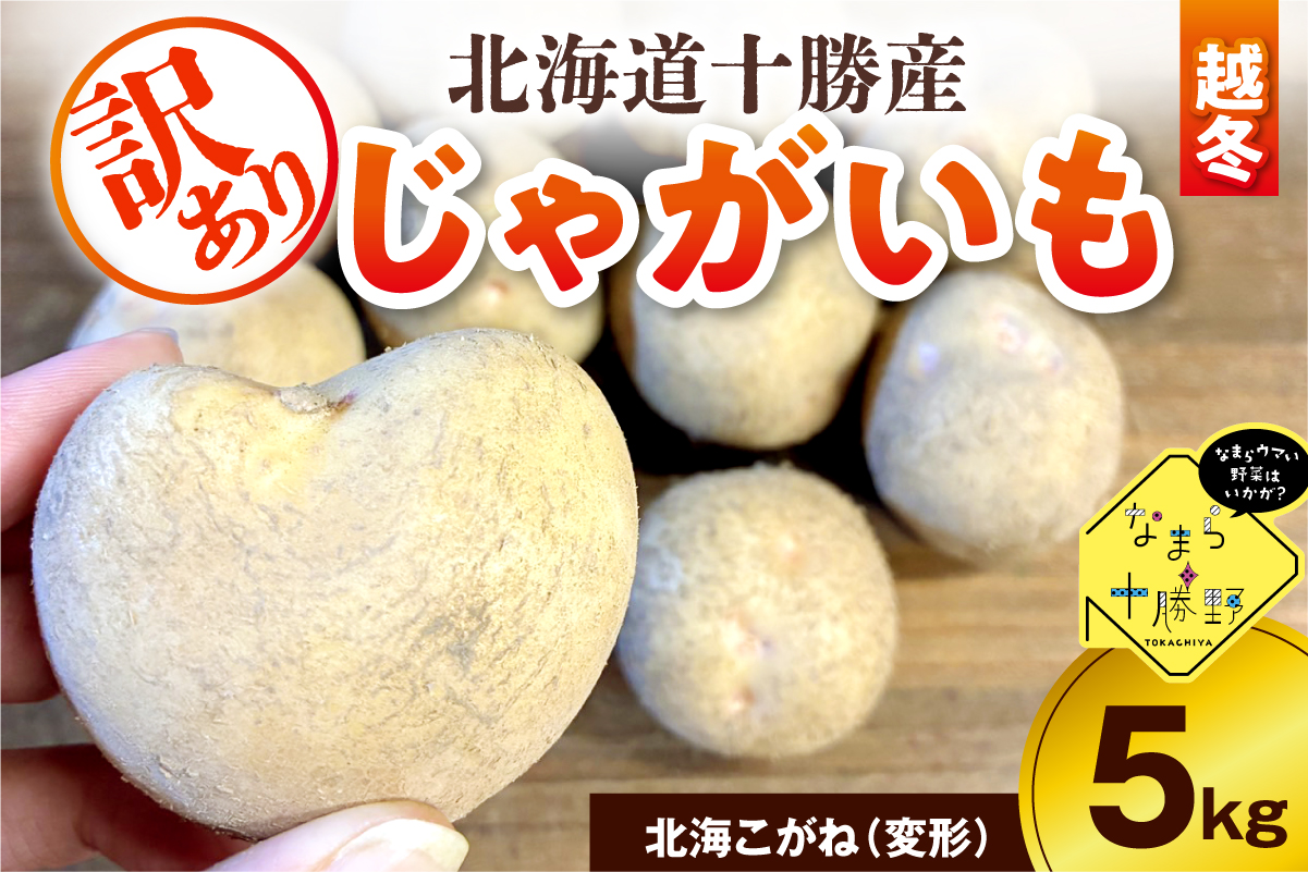 【2月上旬～4月下旬頃配送】【訳あり】北海道十勝芽室町 農家応援じゃがいも(越冬)5㎏　北海こがね（変形）me001-051c-3