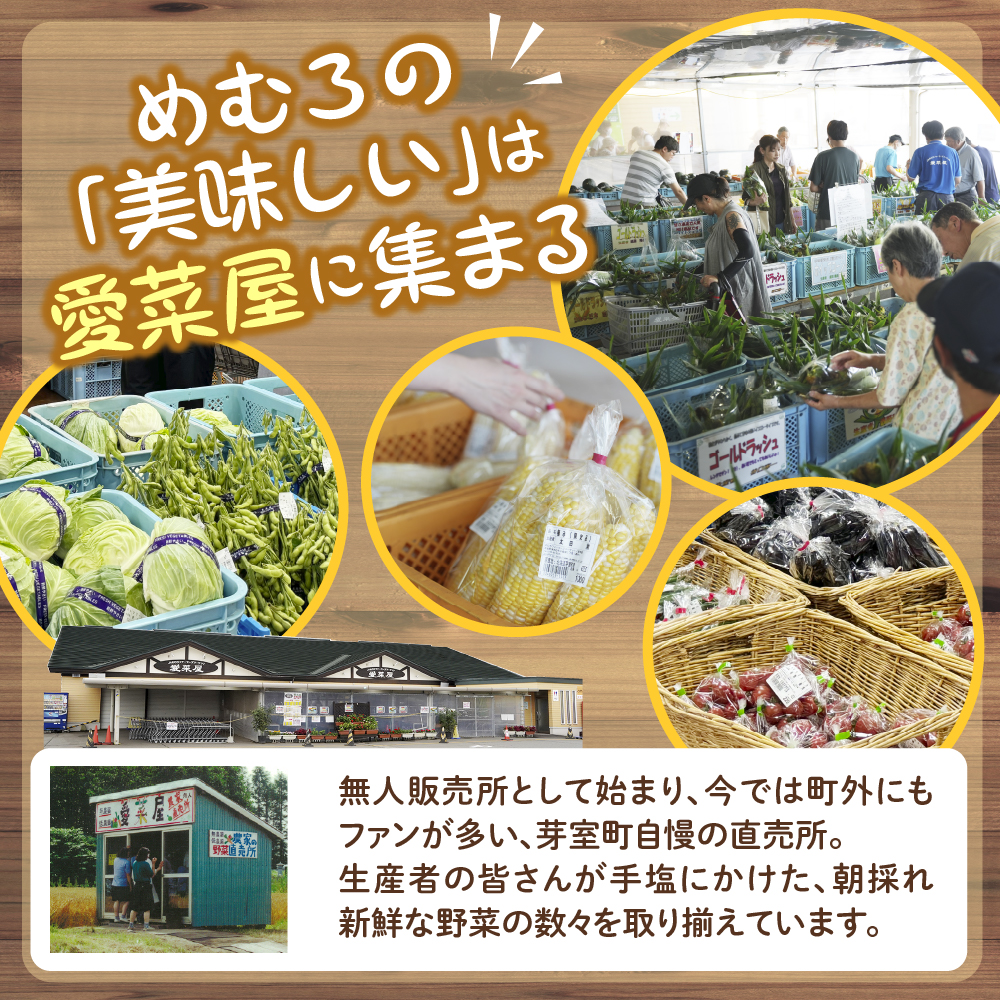 【先行受付】【2025年9月下旬より配送予定】北海道十勝芽室町 貴重品種 インカのめざめ 5kg me002-007-24c