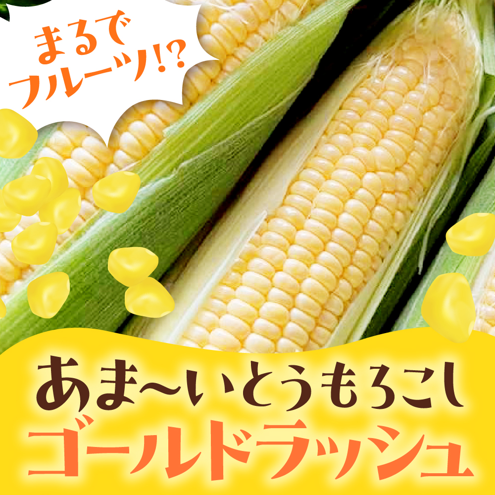 【先行受付】【2026年7月25日～8月15日頃発送予定】朝採りをお届け！ 北海道十勝芽室町　蝦夷っ子とうもろこし ゴールドラッシュ 20本 me076-010c-26