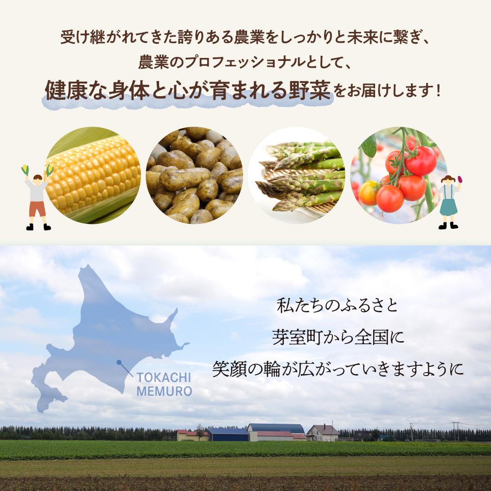 北海道十勝芽室町 なまら十勝野の季節のおまかせ野菜セット（秋） me001-004c