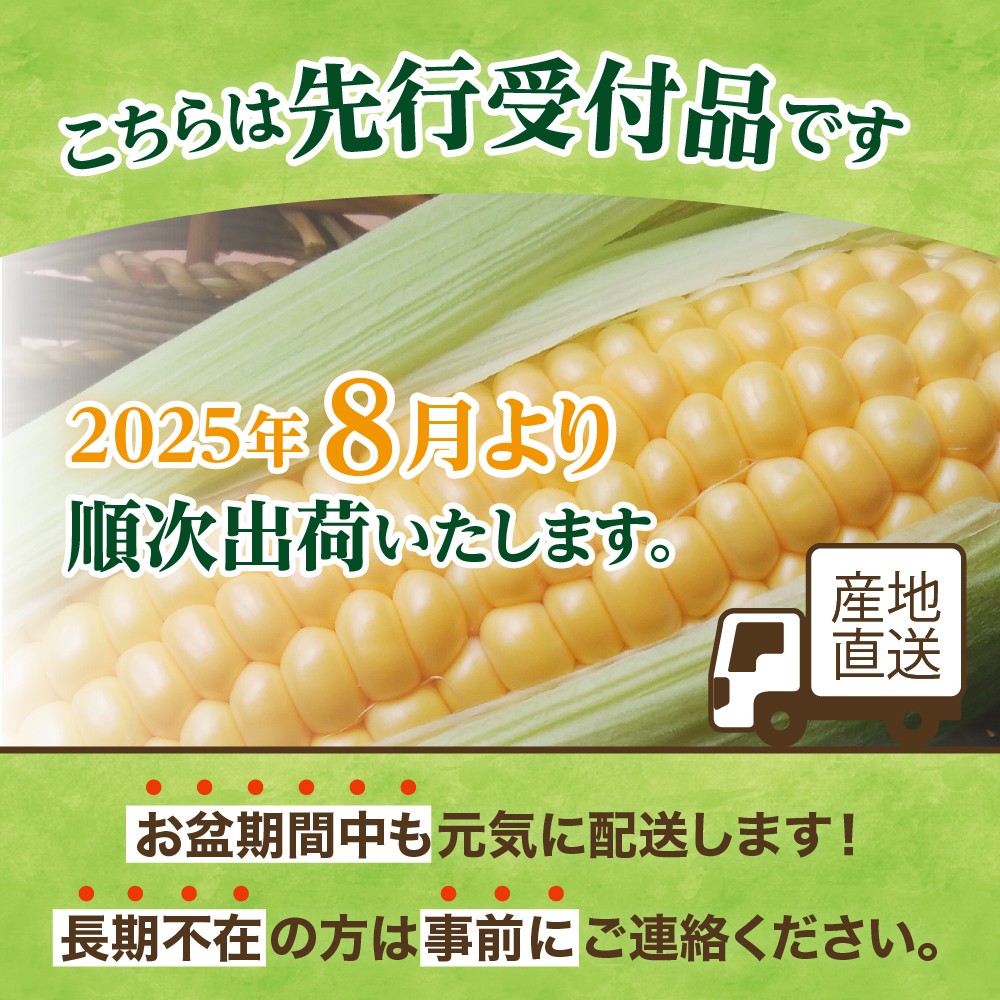 【2025年分先行予約】とうもろこし スイートコーン ドルチェドリーム 13本 トウモロコシ 野菜 BBQ ソロキャンプ 送料無料 お取り寄せ 北海道 十勝 芽室町 me062-001c-25