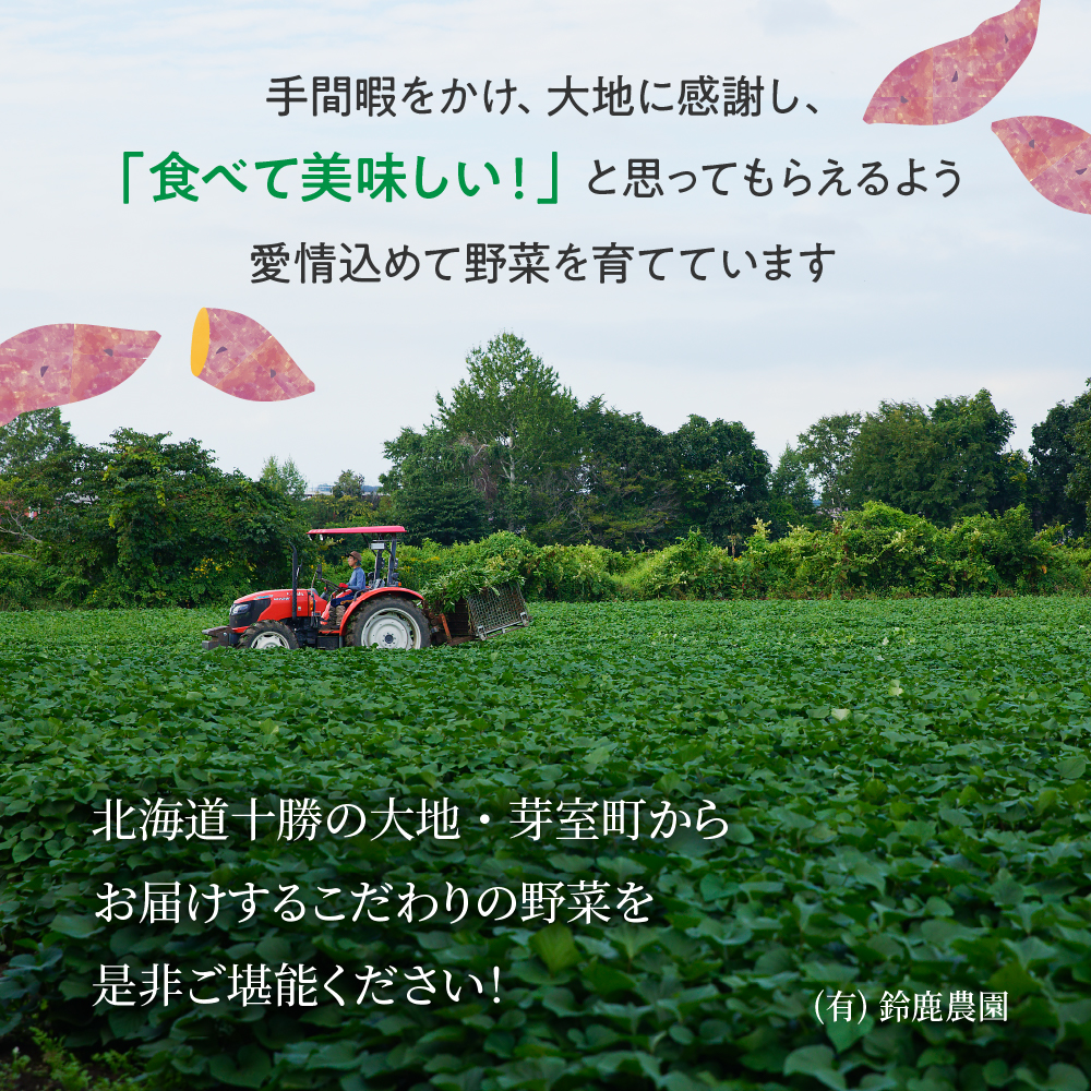 【先行予約】【2024年12月より配送】北海道十勝芽室町 さやあかね ２Lサイズ 10kg me049-005c-24