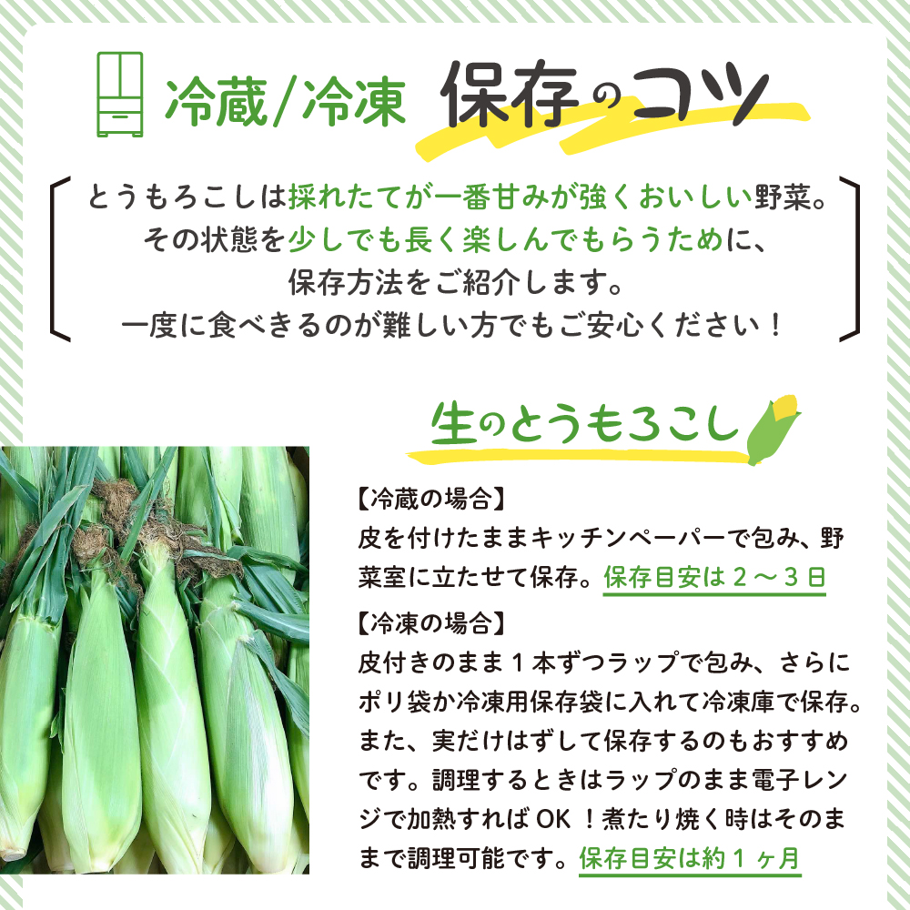 【先行予約】【2025年産】北海道十勝芽室町 とうもろこし イエロー種5本 ホワイト種5本 me002-008c-25