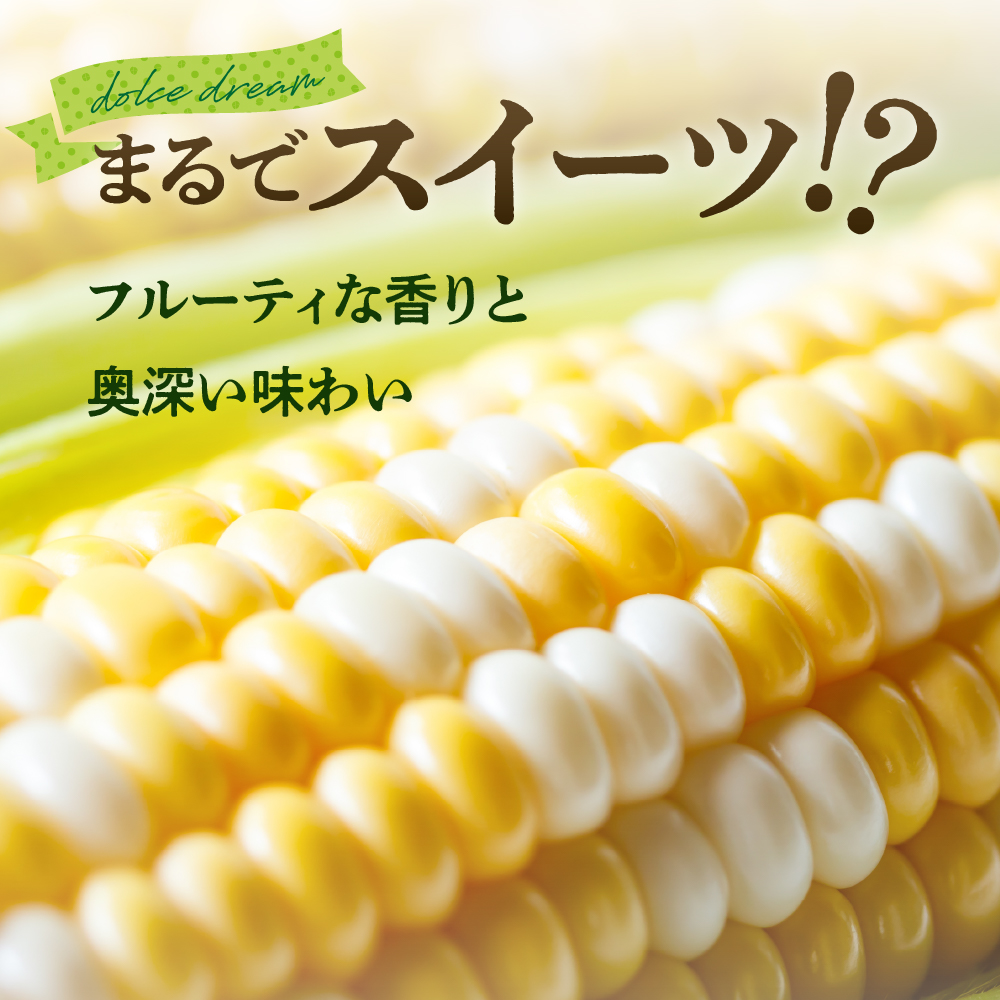 【2025年分先行予約】とうもろこし スイートコーン ドルチェドリーム 13本 トウモロコシ 野菜 BBQ ソロキャンプ 送料無料 お取り寄せ 北海道 十勝 芽室町 me062-001c-25