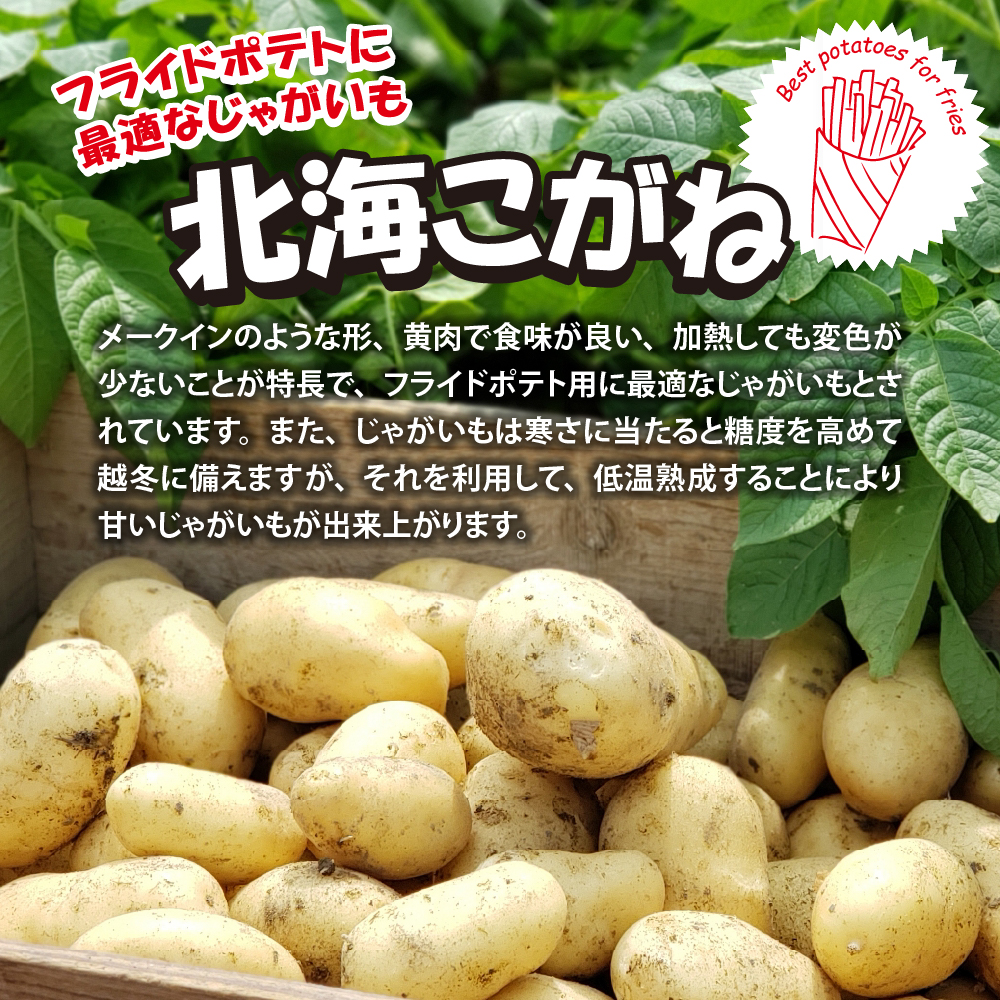 北海道十勝芽室町  シューストリングポテト4.0kg（5袋）me003-055c