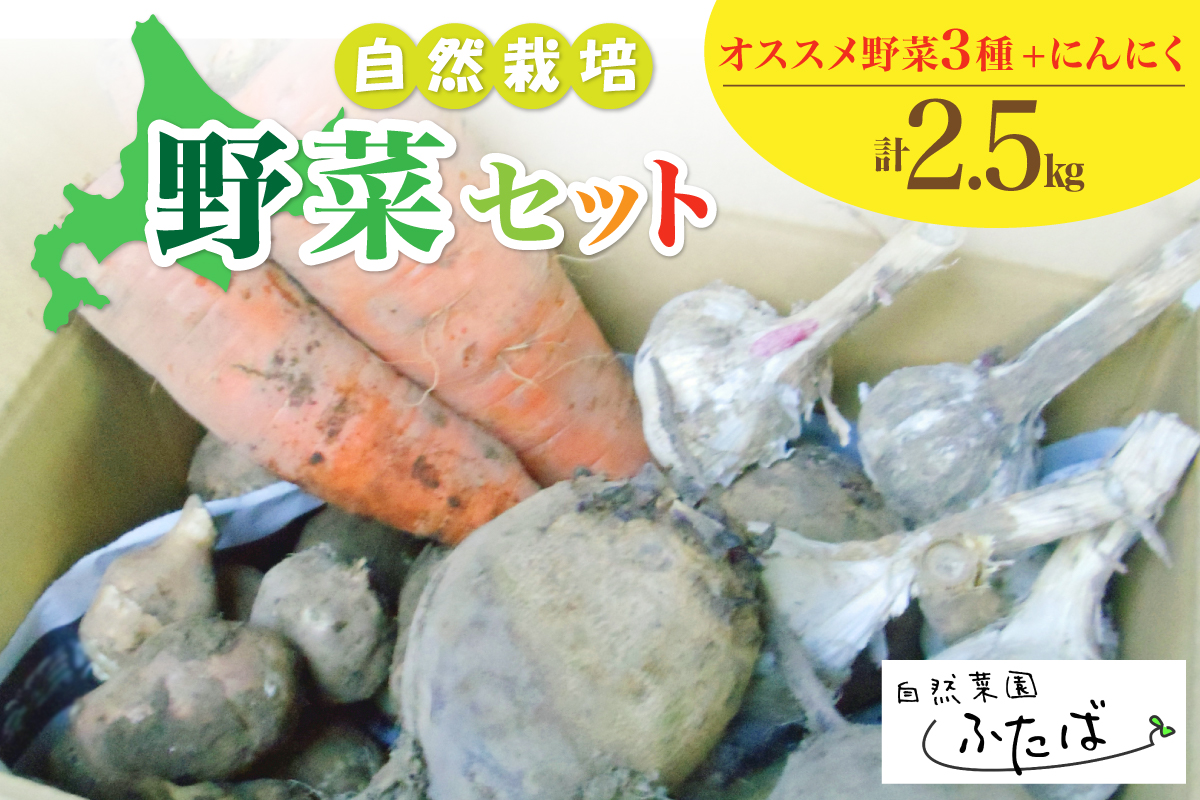 北海道十勝芽室町　自然菜園ふたば　宇佐美亮の野菜セット2.5kg me074-012c　