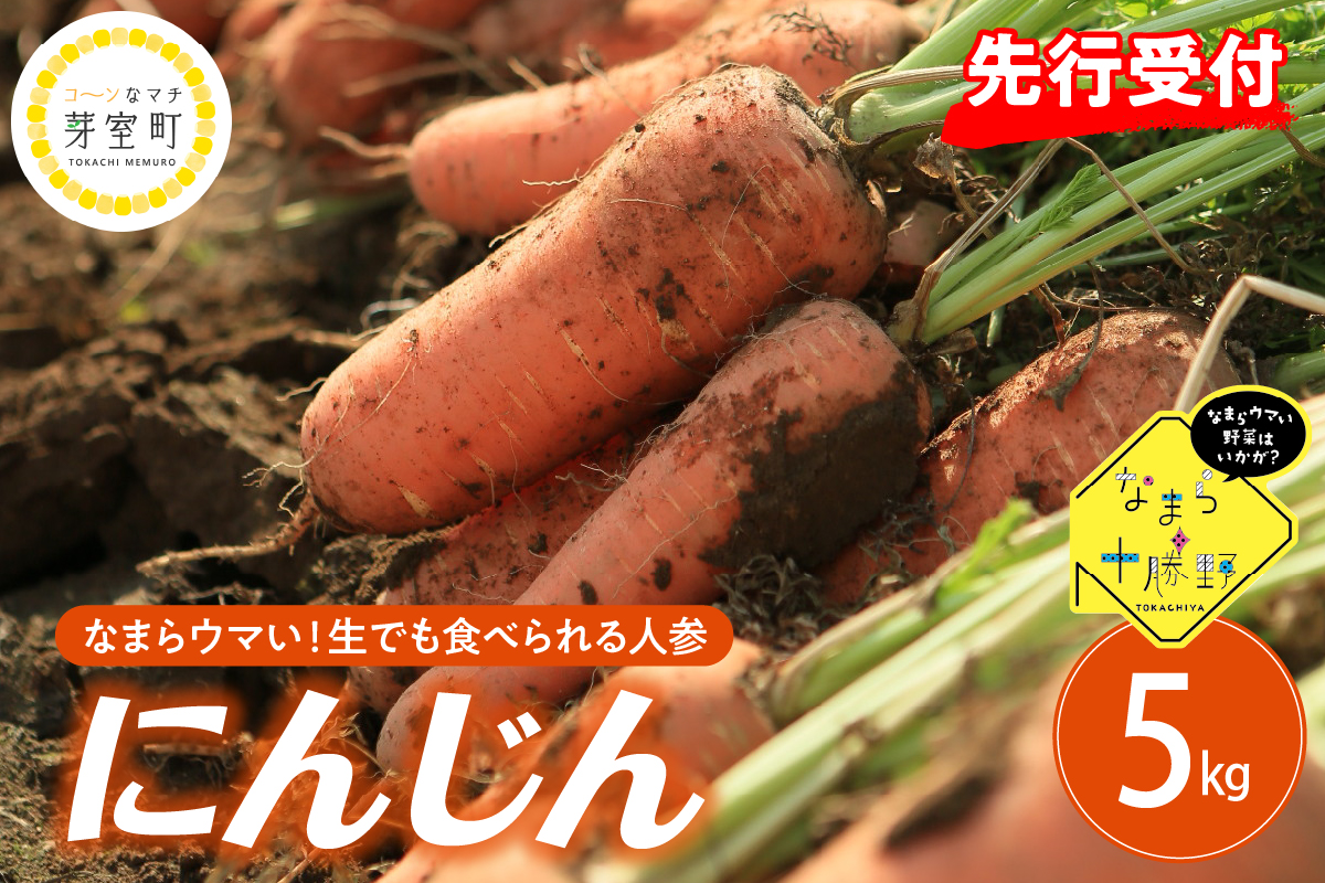 【先行受付】【10月上旬より発送】北海道十勝芽室町 なまら十勝野 芽室町産にんじん 5kg　me001-030c