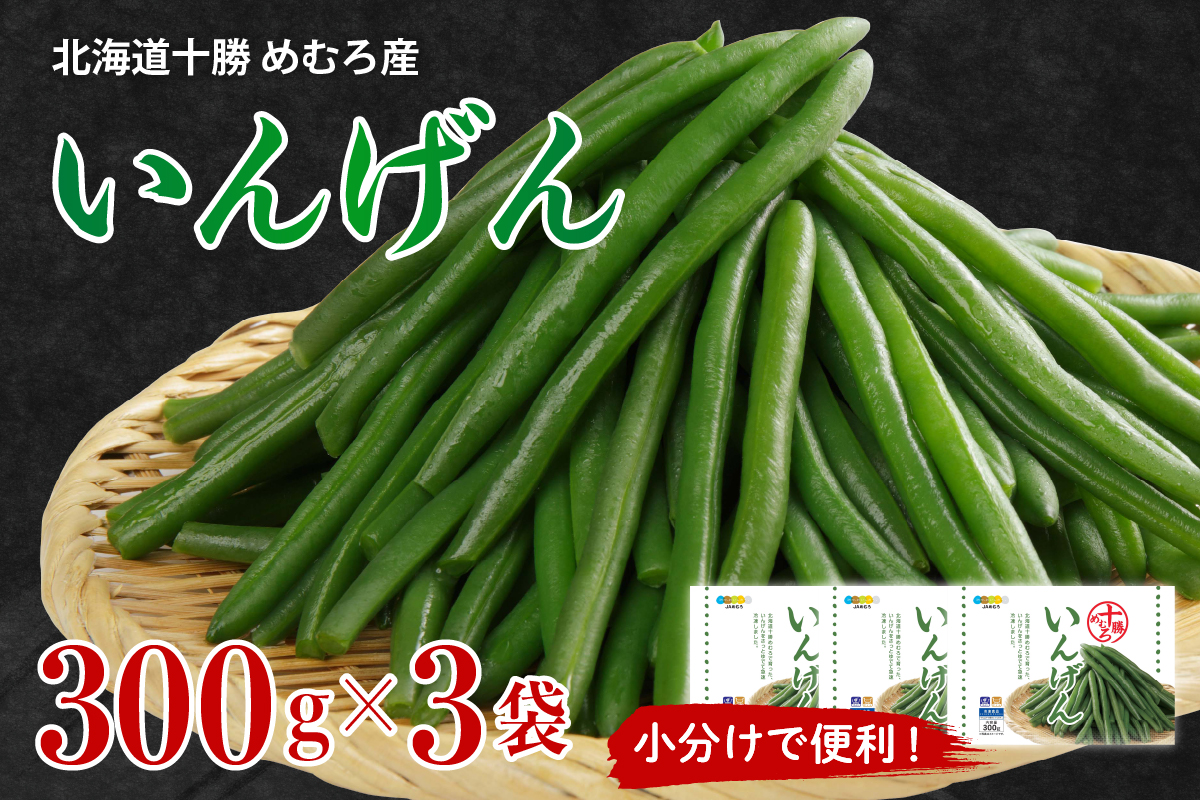 北海道十勝芽室町 十勝めむろ 冷凍野菜 いんげん 300g×3袋 me003-120c