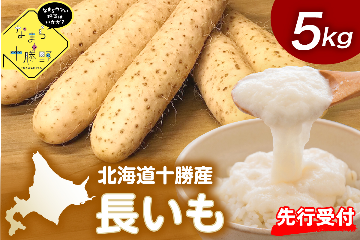 【12月中旬以降発送】北海道十勝芽室町 なまら十勝野の長いも ５kg me001-010c