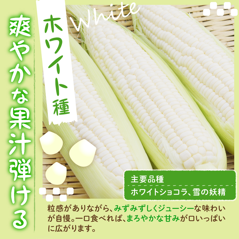 縲仙郁。悟女莉倥代2026蟷エ7譛井ク区流ス8譛井クュ譌ャ鬆驟埼√大圏豬キ驕灘香蜍晁歓螳、逕コ 縺ィ縺繧ゅm縺薙@ 10譛ャ 繝帙Ρ繧、繝育ィョ me002-005c-26