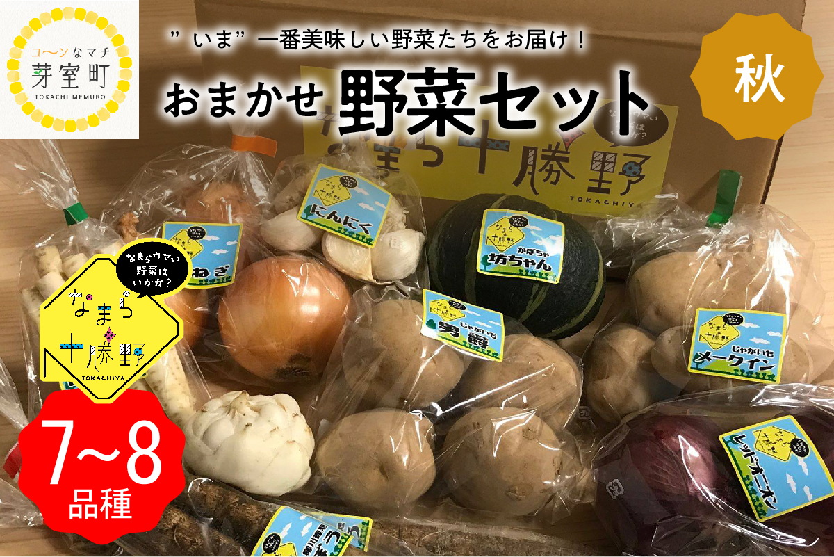 北海道十勝芽室町 なまら十勝野の季節のおまかせ野菜セット（秋） me001-004