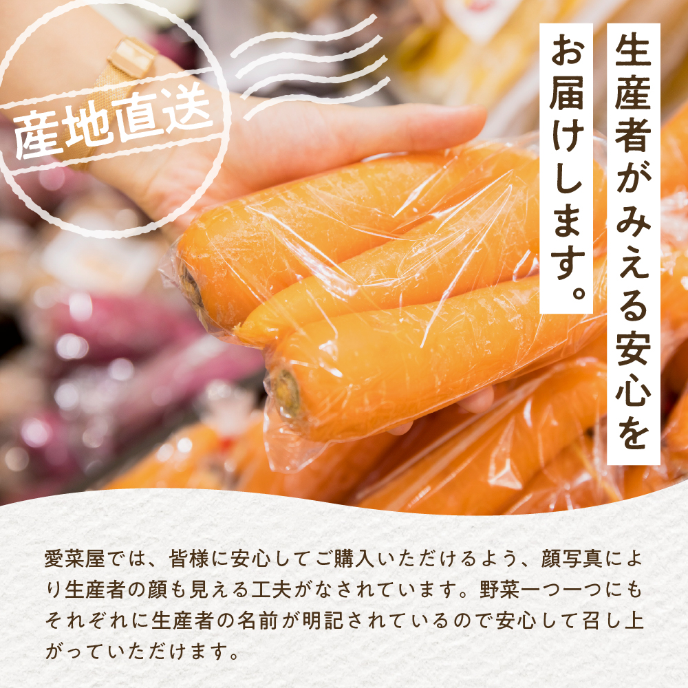 【先行受付】【2025年10月より配送予定】北海道十勝芽室町 愛菜屋のめむろごぼう5kg me002-006c