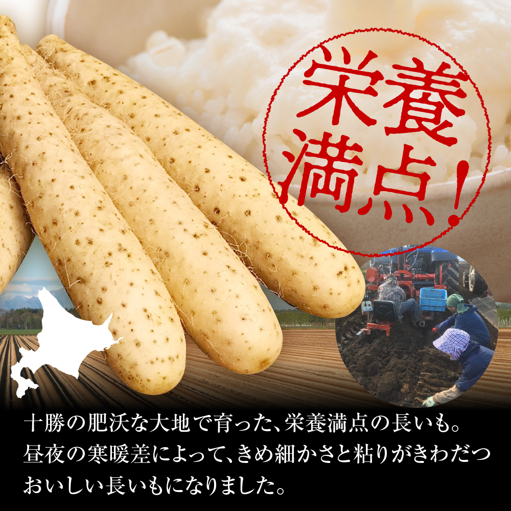 縲12譛井クュ譌ャ莉・髯咲匱騾√大圏豬キ驕灘香蜍晁歓螳、逕コ 縺ェ縺セ繧牙香蜍晞弱ョ髟キ縺繧 シ斌g me001-010c