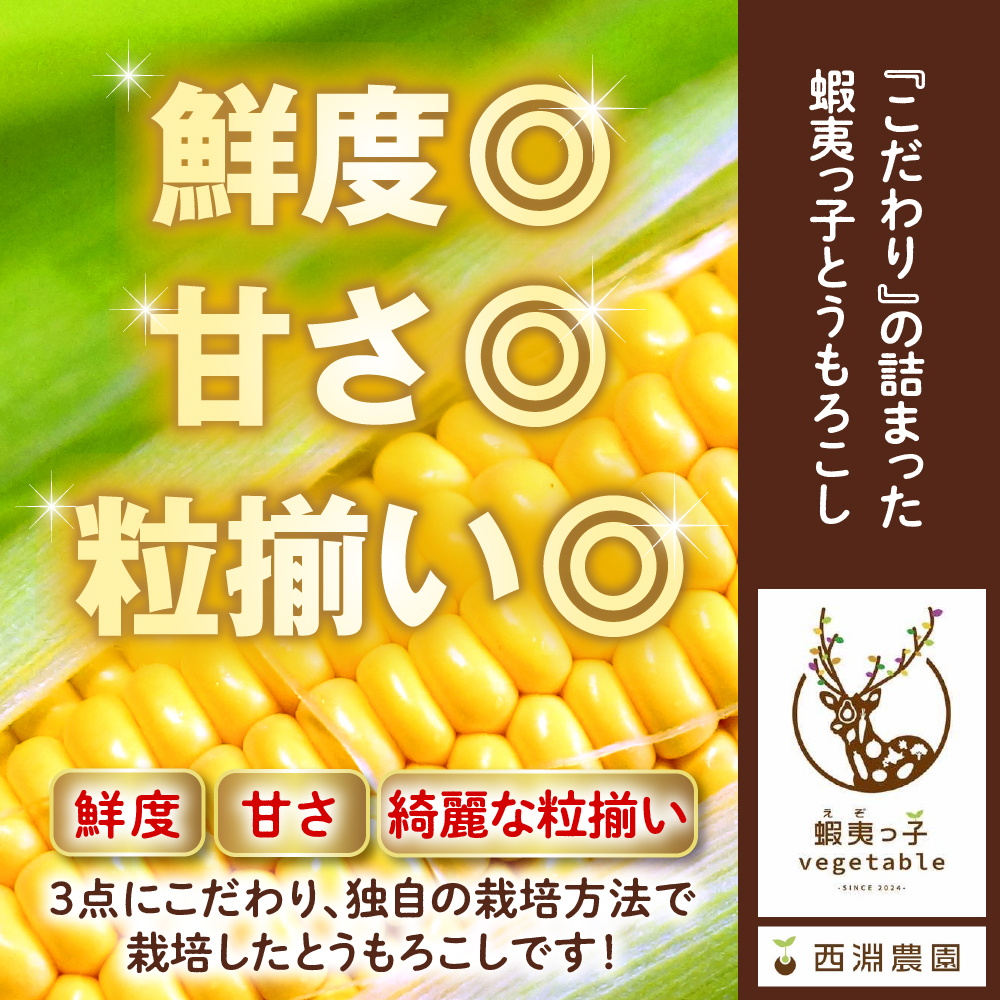 【先行受付】【2026年7月25日～8月15日頃発送予定】朝採りをお届け！ 北海道十勝芽室町　蝦夷っ子とうもろこし ゴールドラッシュ 20本 me076-010c-26