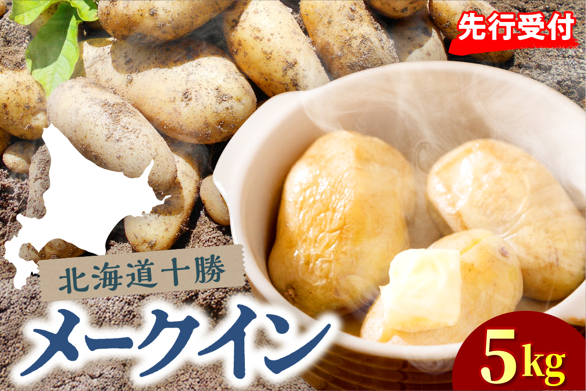 【先行受付】【2026年10月下旬より順次出荷】北海道 十勝芽室町 メークイン Mサイズ5kg  me078-008c-26