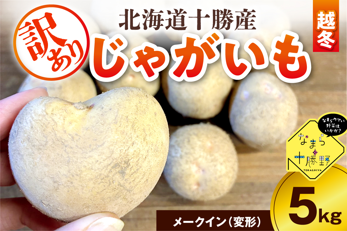 【2月上旬～4月下旬頃配送】【訳あり】北海道十勝芽室町 農家応援じゃがいも(越冬)5㎏　メークイン（変形）me001-051c-2