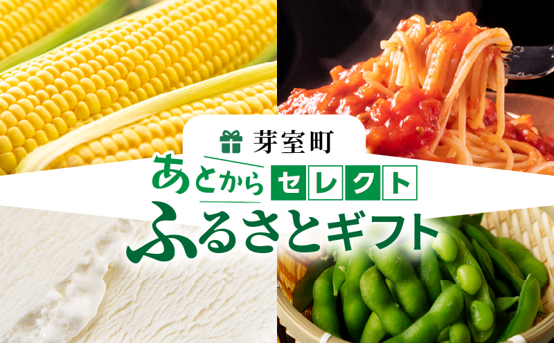 北海道十勝芽室町 あとからセレクト 【ふるさとギフト】100万円分