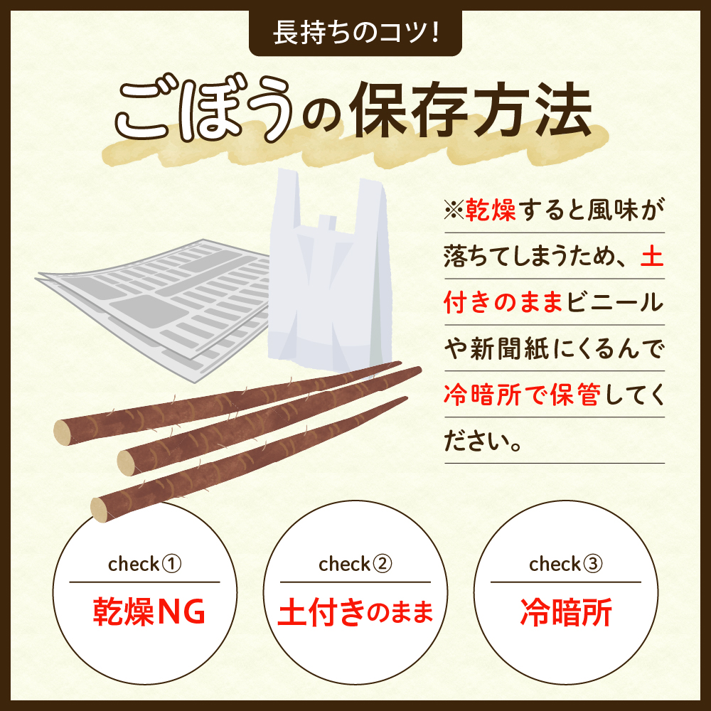 北海道十勝芽室町 なまら十勝野 芽室町産 春掘りごぼう【柳川理想】M 5㎏ me001-032c