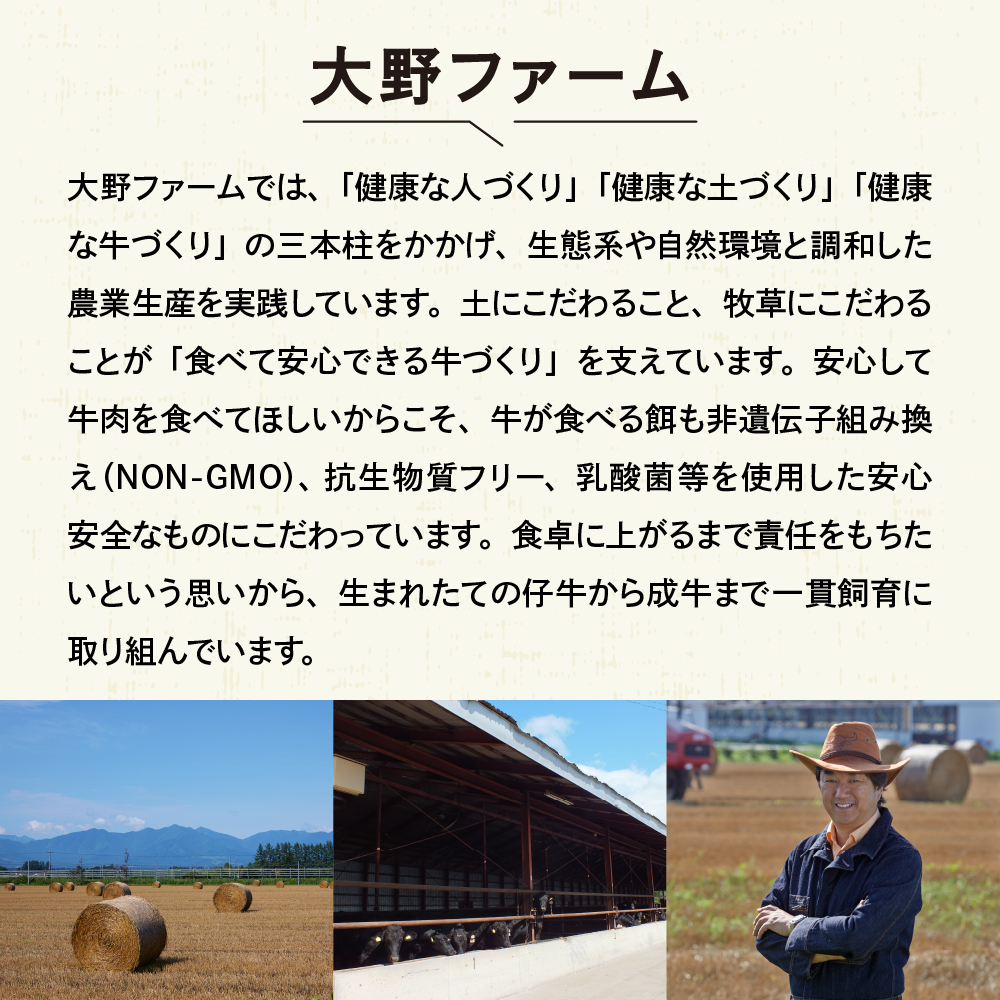 北海道十勝芽室町 牛肉100％使用！COWCOWハンバーグ 160g×7個 me007-004c
