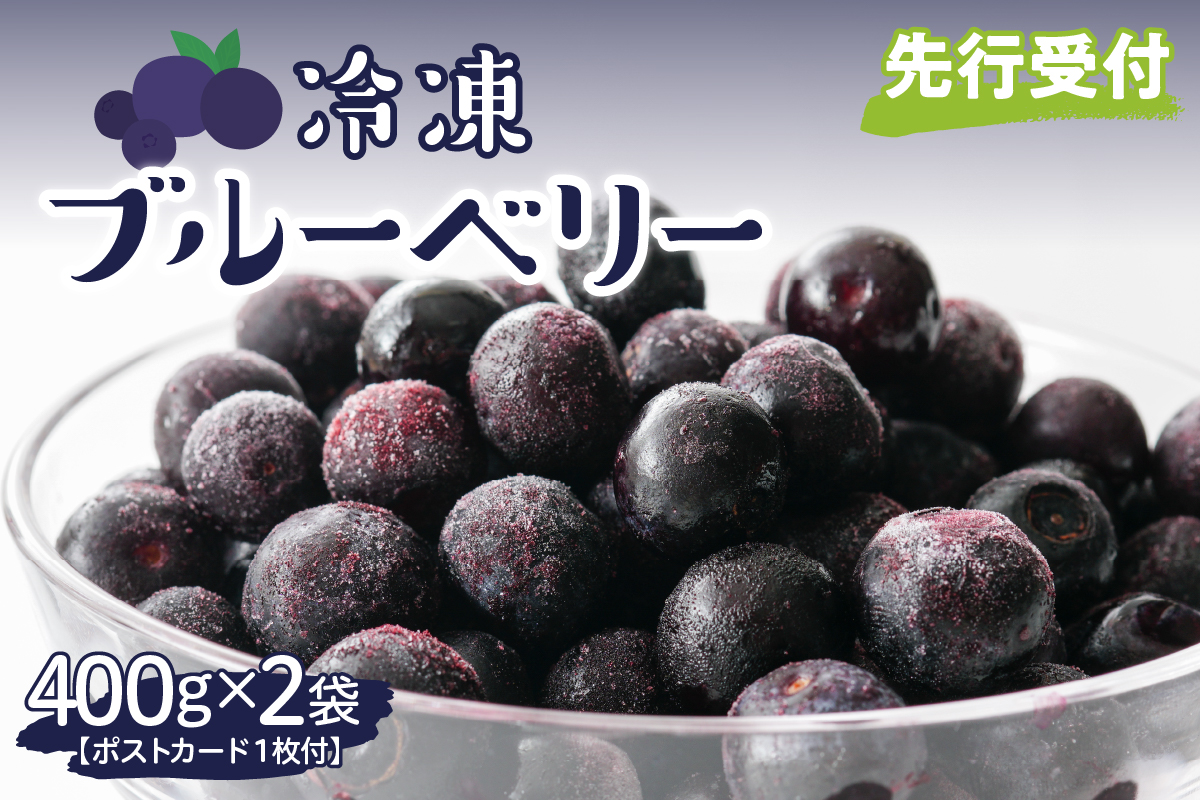 【2025年分先行予約】北海道十勝芽室町　上美生のたからばこ　上美生の冷凍ブルーベリーとポストカードのセット　me029-003-24c