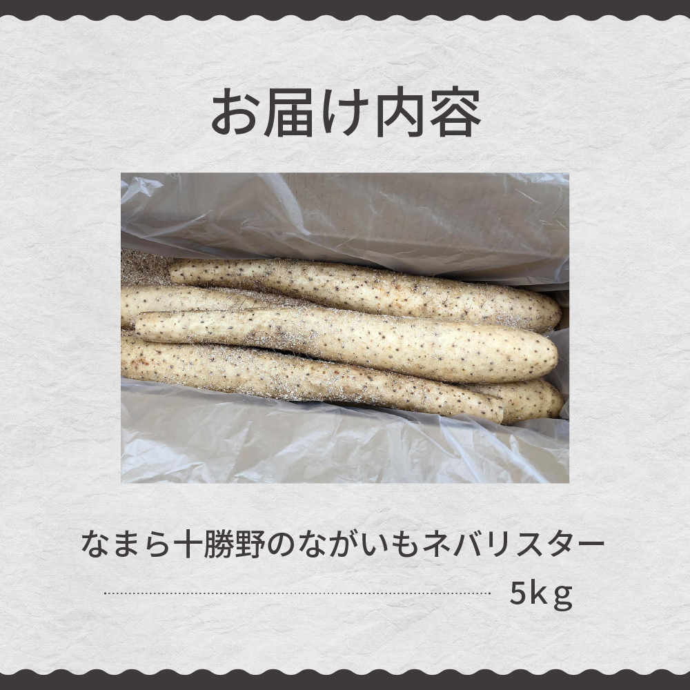【先行受付】【2026年12月中旬より順次発送】北海道十勝芽室町　なまら十勝野の長芋ネバリスター 5kg me001-047c