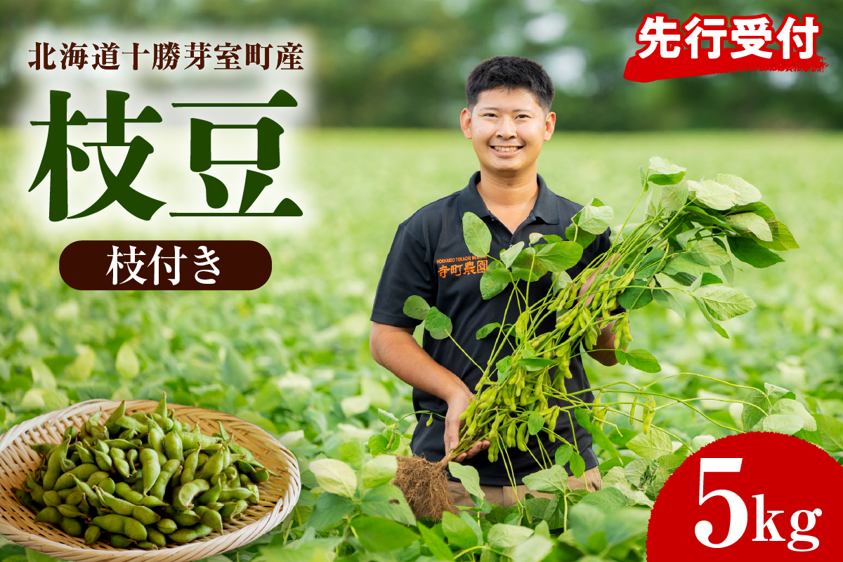 【2026年8月より発送】産地直送！北海道十勝芽室町 枝付き枝豆 5kg me081-001c