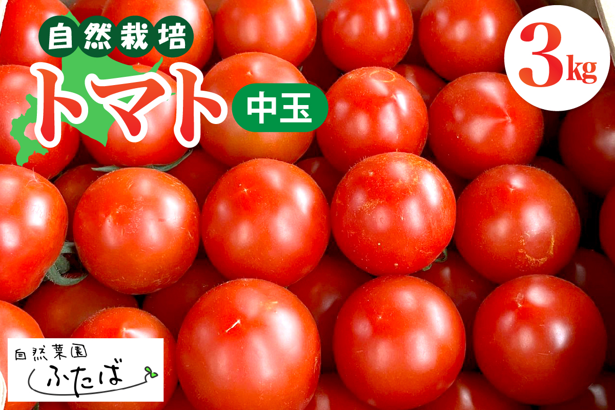 【先行受付】【2025年8月中旬から順次発送】北海道十勝芽室町　自然菜園ふたば　宇佐美亮のトマト（中玉） 3kg　me074-011c