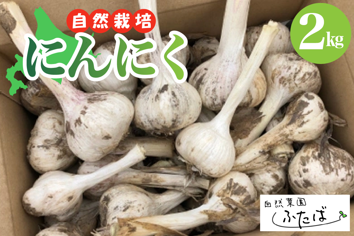 北海道十勝芽室町　自然菜園ふたば　宇佐美亮のにんにく　2kg　me074-006c