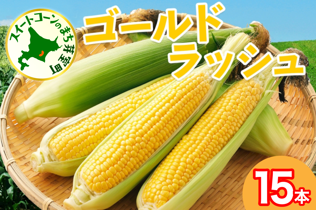 【先行受付】【2026年7月下旬〜8月上旬頃配送】北海道十勝 芽室町産 朝獲れ とうもろこし ゴールドラッシュ15本　me035-035c-26
