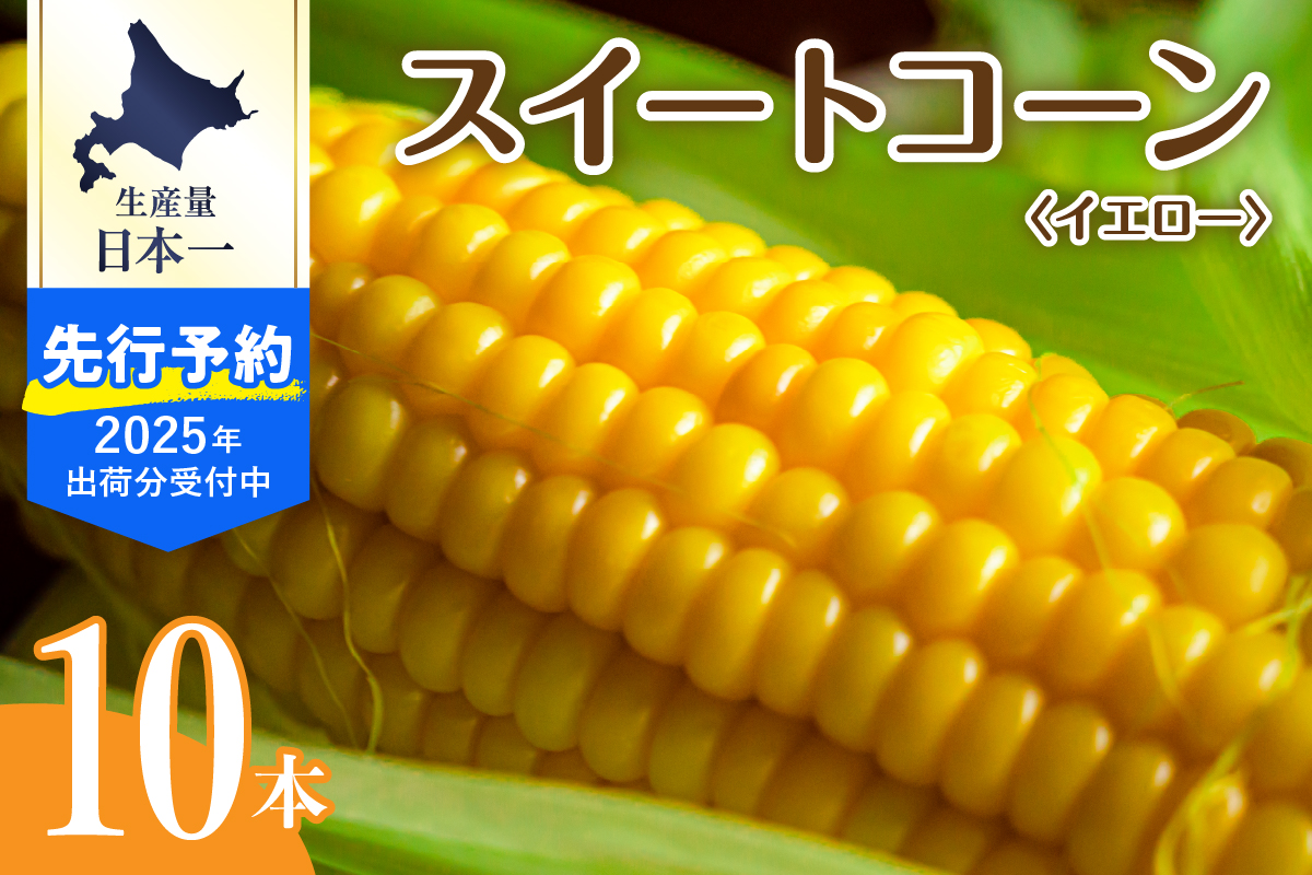 【先行予約】【2025年産】北海道十勝芽室町 とうもろこし スイートコーン10本 イエロー種 me002-004c-25