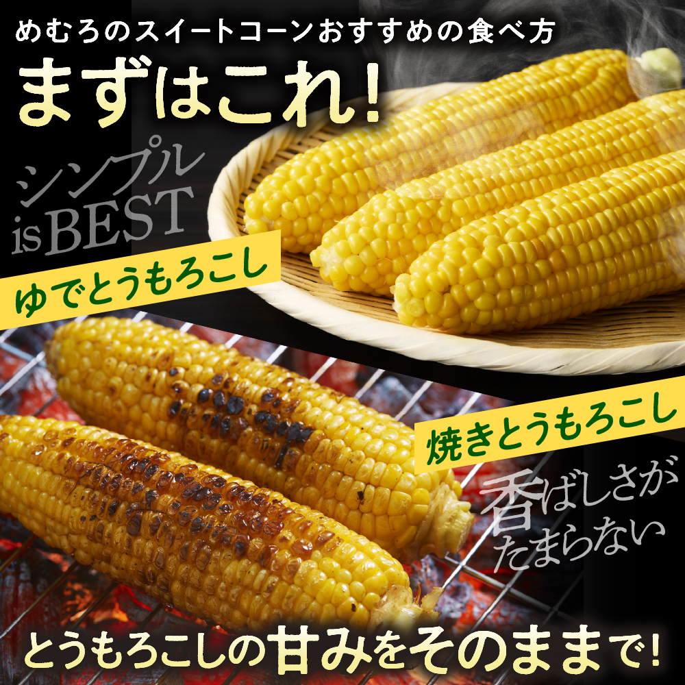 【先行受付】【2026年8月10日～8月下旬配送】北海道 十勝芽室町 とうもろこし ホワイトコーン 10本セット me078-004c-26