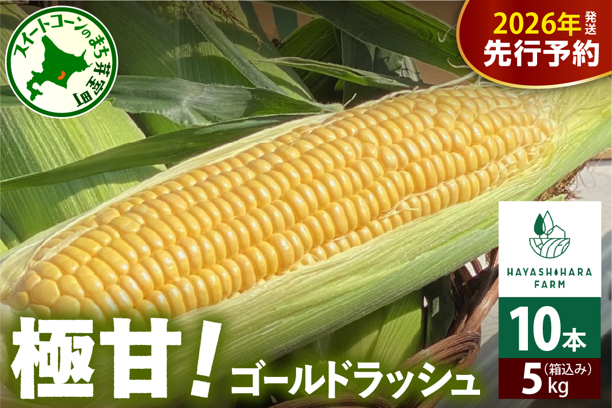 【先行受付】【2026年7月下旬～8月上旬まで配送予定】北海道十勝芽室町 極甘とうもろこし ゴールドラッシュ 10本 me028-001c-26
